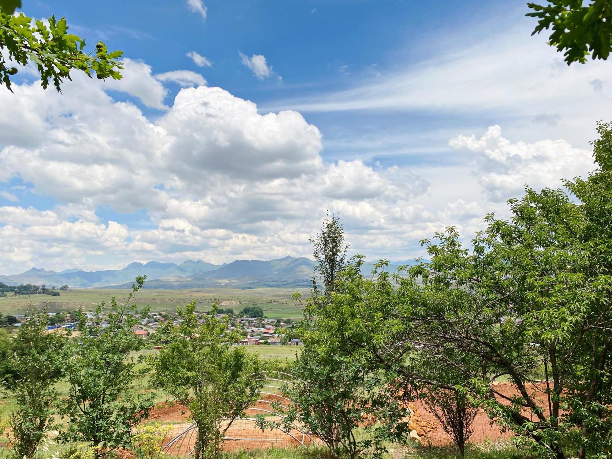 Collett House And Lavender Cottage Кларенс Экстерьер фото